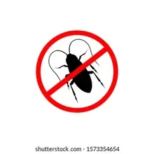 6735cb33866e317315786751389.webp